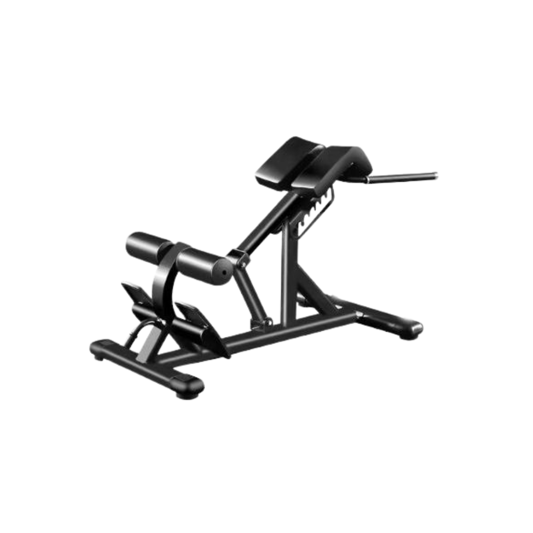 Hexagon-Dumbbell-82.png HYPER BACK EXTENSION - Image 1