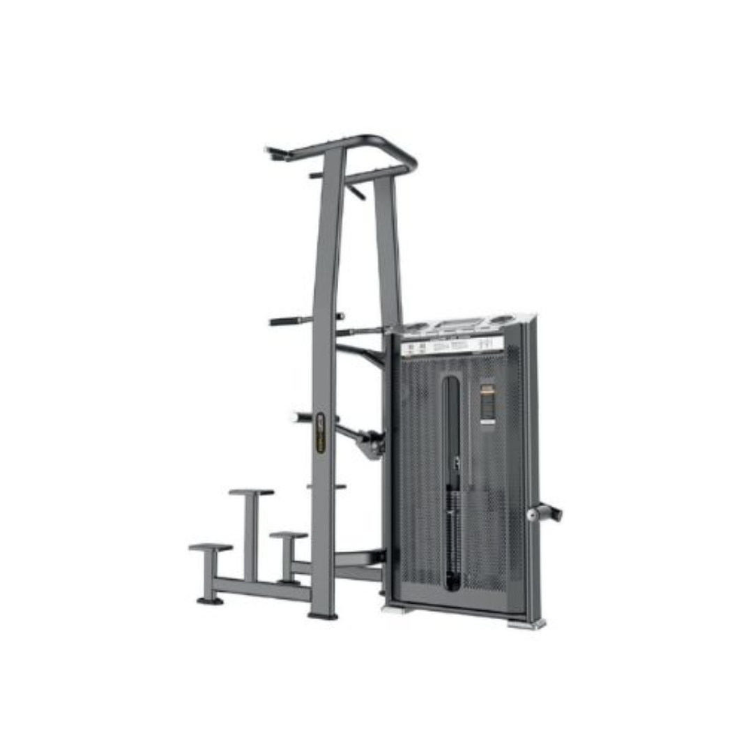 Hexagon-Dumbbell-92.png U2009 DIP CHIN ASSIST (Black) - Image 1